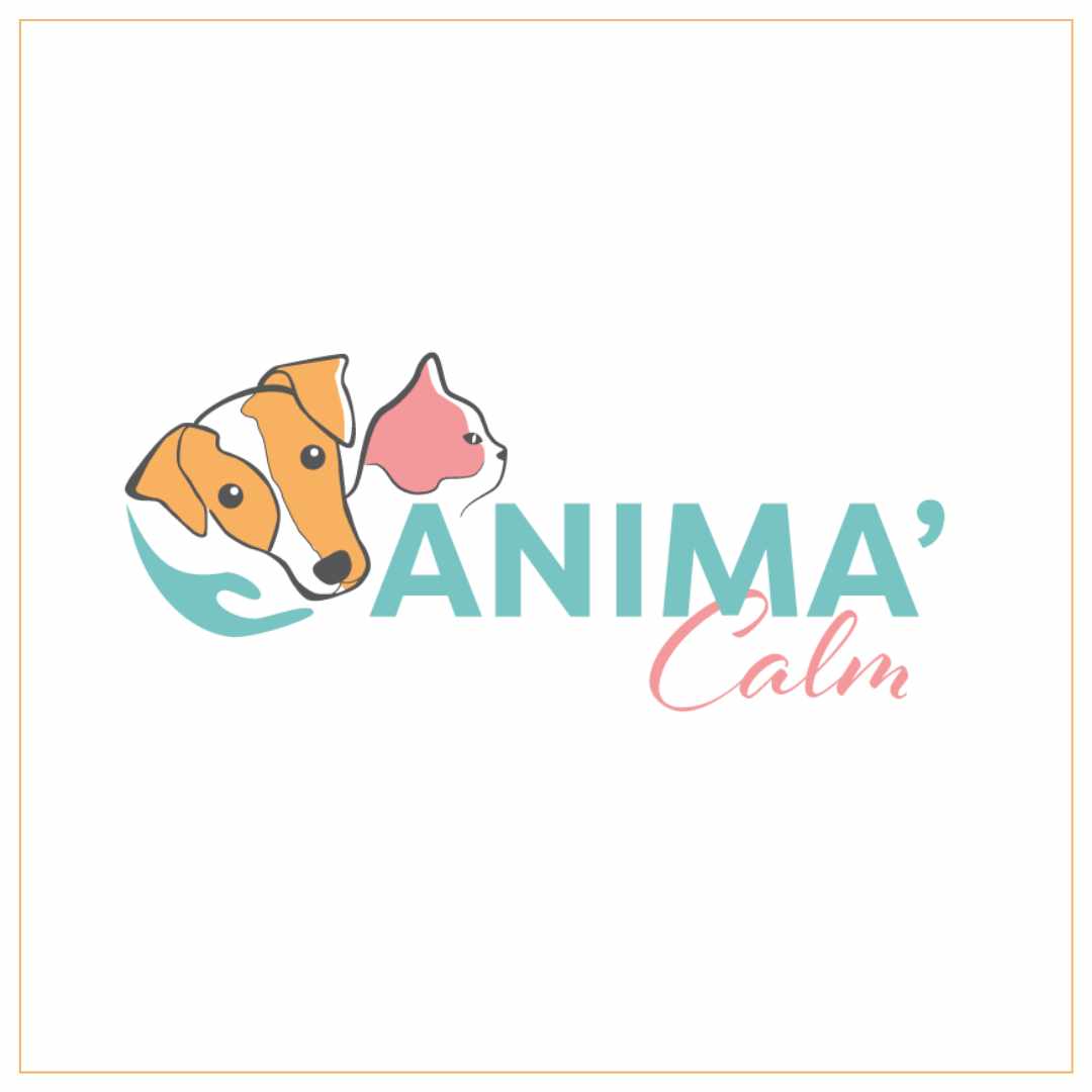 Logo Animama